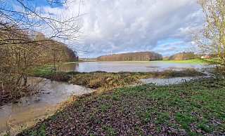 Links fließt der angeschwollene Schwarzbach und auf der angrenzenden Wiese hat sich nach dem Dauerregen zu Weihnachten ein natürliches Regenrückhaltebecken gebildet. - Privat