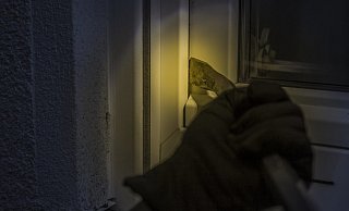 Der Tatverdächtige soll durchs Fenster eingestiegen sein. - Symbolbild/Pixabay