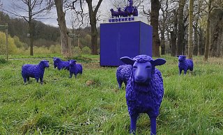 Sie standen teilweise bis zur Wolle im Hochwasser: die blauen Schafe von der Landesgartenschau in Höxter. - Archivfoto: Svenja Ludwig
