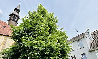 Der kleine Schornstein auf dem Dach des Bistros (r.) entlässt beim Betrieb der Küche seine Abluft in den Kirchhof, was die Anlieger in der Altstadt verärgert. - Stefan Becker