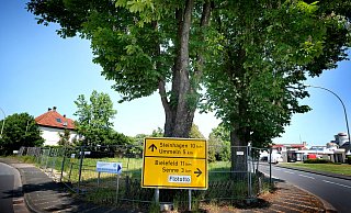 Das Grundstück an der Ecke Brackweder-/Senner Straße in Gütersloh wird neu bebaut. - Andreas Frücht