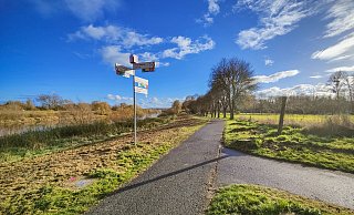 Spatenstich für den Ausbau des Weserradwegs auf der Rehmer Insel. - Archiv: NW