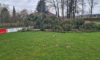 Am Rasenplatz des VfL Klosterbauerschaft hat es mehrere Bäume umgerissen. Die Kabine der Heimmannschaft hat es umgehauen, teil der Verein mit. - VfL Klosterbauerschaft