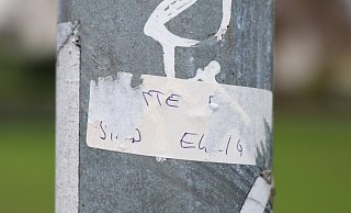 Aufkleber wie diese weitgehend abgekratzten finden sind in Teilen der Paderborner Südstadt. - Holger Kosbab