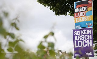 Bisher ist die AfD in Löhne vornehmlich durch ihre Plakate in Erscheinung getreten. Bald könnte die Partei in der Werrestadt deutlich aktiver werden. Andere Parteien - wie hier die "Volt"-Bewegung - bringen sich dagegen in Stellung. - Felix Eisele