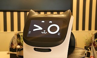 Layla hat ein freundliches Wesen und zwinkert den Menschen um sie herum gauch mal zu. - Henning Wandel