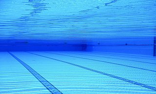 Im Freibad sollen sich alle Badegäste wohlfühlen. - Pixabay (Symbolfoto)