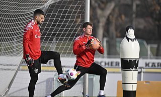Alexander Nübel (r.), derzeit Torwart beim VfB Stuttgart und hier neben Fabian Bredlow, war einst ebenfalls Schüler an der NRW-Sportschule der Lise-Meitner-Realschule in Paderborn. - IMAGO/Michael Weber