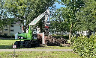 Bagger reißen im Riemekepark die Wurzelbereiche abgesägter Bäume aus dem Boden und legen sie in Container zum Abtransport. - Ralph Meyer
