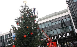 Stefanie und Oliver Ritzmann hängten den Schmuck und die Lichterketten vom Hubwagen aus an die große Tanne auf dem Rathausplatz. - Anne Neul