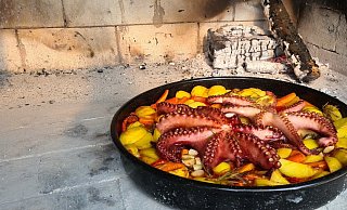 Der Tintenfisch ist ein Hingucker. - Privat