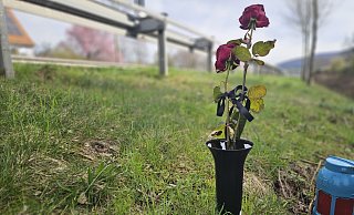 Blumen und eine Kerze erinnern an den tödlichen Unfall vom 7. März auf der Umgehungstraße in Lügde. Ein 54-Jähriger ist hier gestorben, weil sich ein anderer Mann (29) das Leben nehmen wollte. - Janet König