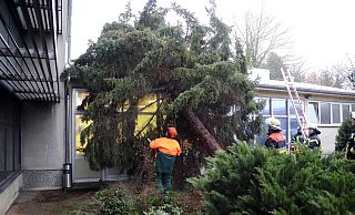 Stürzt ein Baum bei einem Sturm aufs Haus des Nachbarn, ist der Schaden in der Regel versichert. - imago images/Becker&Bredel