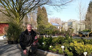 Die Baumschule Faszination bietet jetzt auch eine Pflanzenlieferung an. Inhaber Thomas Köhn hat eine Chaenomeles japonica, auf deutsch Rose im Dornbusch, in der Hand. - Ulrike Urschel