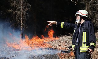 Die Waldbrandgefahr steigt.  - Symbolfoto/picture alliance