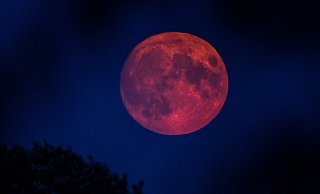 Der Mond strahlt während der totalen Mondfinsternis über OWL in leuchtendem Rot am Nachthimmel. - picture alliance/dpa
