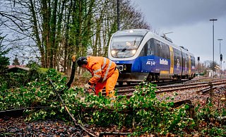 Die Sennebahn rollt zur Probe über die Strecke zwischen Bielefeld und Paderborn. Kurz hinter dem Bahnhof Schloß Holte zersägt ein Bahn-Mitarbeiter einen kleineren Baum, der auf die Gleise gefallen war. - Besim Mazhiqi