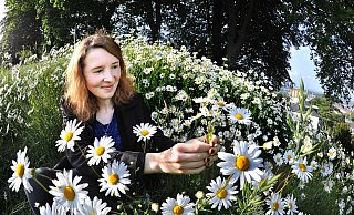 Mit Blick auf die Stadtkulisse: NW-Volontärin Melanie Wigger genießt den Sommerstart und pflückt Margeriten im Park auf dem Johannisberg. Passend zum guten Wetter laden die Wiesen und Wege zum Verweilen ein. - Foto: Andreas Frücht