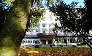 Eigentümer Manuel Ersay will das ehemalige Hotel Königshof am Kurpark sanieren und mit einem Anbau mit fünf Parkdecks versehen. - Thorsten Gödecker