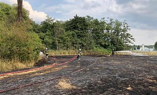 Rund 2.000 Quadratmeter groß war die Fläche auf dem Stoppelfeld, die von der Feuerwehr gelöscht werden musste. - Feuerwehr Löhne