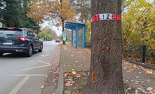 Bei einem Autounfall am Nordring ist am 1. November ein Baum beschädigt worden. - Sven Hauhart