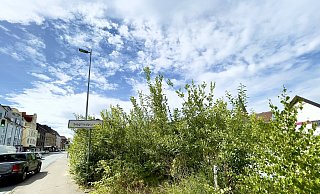 Die Brache an der Ecke Jöllenbecker Straße / Siegfriedstraße könnte jetzt zügig bebaut werden, bevor sich der Wildwuchs weiter ausbreitet. - Stefan Becker