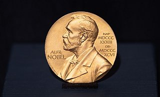 Die Literatur-Nobelpreis-Medaille ist im Günter Grass-Haus ausgestellt. (Archivbild) - Daniel Reinhardt/dpa