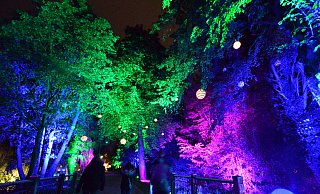 Eine Lichtinstallation An der Bleiche. - Birgit Vredenburg