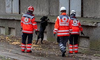 Mehrere Rettungshundestaffeln suchen in Güstrow nach einem Jungen. - Stefan Sauer/dpa