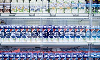 Eine höhere Mehrwertsteuer auf Milch und anderen Produkte soll mehr Tierwohl finanzieren. - picture alliance