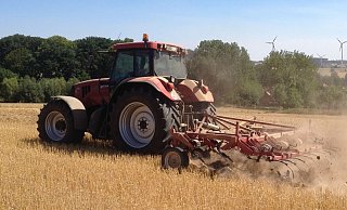 Trotz Niederschlags in den vergangenen Wochen und ausbleibender Hitzewelle bleibt die Situation für die Forst- und Landwirtschaft weiterhin angespannt. (Symbolfoto) - Jobst Lüdeking