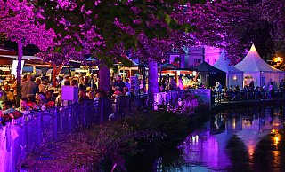 Das Winzerfest hat 2024 auch mit der Illumination gepunktet. - Archivfoto: Nicole Ellerbrake