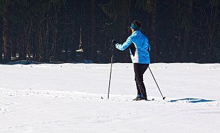 Nach mehr als zehn Jahren können sich Langläufer wieder über gespurte Loipen im Heilwald freuen. - (Symbolbild) Pixabay