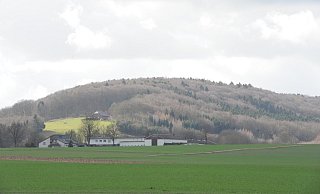 Der Stemweder Berg ist komplett Landschafts- und Naturschutzgebiet. Im kleinsten deutschen Mittelgebirge gibt viel Wald und der ist auch bedeutend für den Klimaschutz. - Joern Spreen-Ledebur
