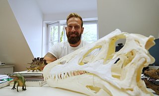 Die Nachbildung eines Dino-Schädels darf auf dem Schreibtisch eines Dinosaurier-Fans nicht fehlen. - Gerald Dunkel
