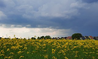 Dunkle Gewitterwolken ziehen im Nordkreis Höxter heran. Der Deutsche Wetterdienst (DWD) warnt am Montagnachmittag vor Unwetter. - David Schellenberg