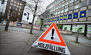 Achtung: Samstagmorgen wurde gewarnt, dass der Baum hinten im Bild gefällt wird. - Barbara Franke
