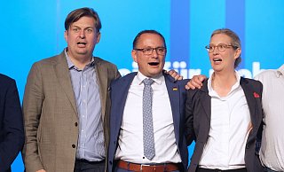 Maximilian Krah, Tino Chrupalla und Alice Weidel von der AfD. - Sebastian Willnow/dpa