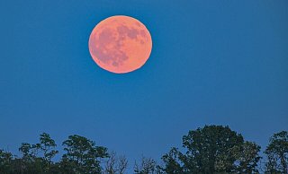 Blassroter Mond am Abendhimmel. (Archivbild) - Patrick Pleul/dpa
