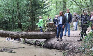 Als suche er in dem Furlbach die Antwort auf die Frage, wann der Truppenübungsplatz Teil des Nationalparks Senne wird, blickt Anton Hofreiter schweigend in den Bachlauf. Der Truppenübungsplatz beginnt auf der anderen Seite. - Sigurd Gringel