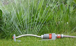 Auf das Sprengen der Gärten sollte verzichtet werden. - Esther Merbt / pixabay