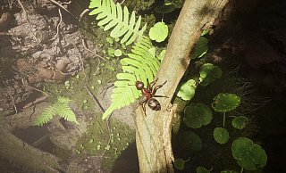 "Empire Of The Ants" ist ein wunderschönes, einzigartiges Echtzeitstrategiespiel, das nicht nur Genre-Fans begeistern kann. - Microids