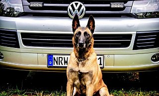  - Polizei Bonn
