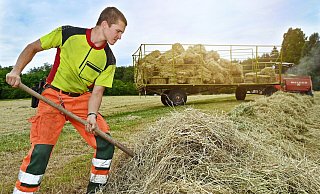 Maximilian Köhn schiebt die Haufen sauber zu einer langen Reihe zusammen, damit die Presse (hinten) sie gut anfahren und zu Ballen pressen kann. - Barbara Franke