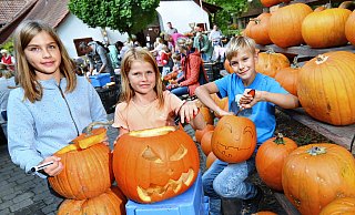 Mit Schablone und Schnitzwerkzeug bearbeiten Carla (12, v.l.), Frida (8) und Findan (8) ihre Halloween-Kürbisse. Wenn das Wetter mal nicht so schön ist wie an diesem Tag, wird das in die Schneune (im Hintergrund) verlegt. - Barbara Franke