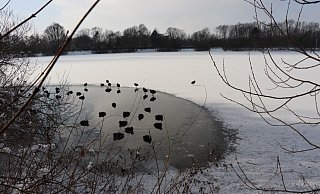 Die Stadt warnt vor dem Betreten von Eisflächen, wie dem gefrorenen Padersee. - Andre Bauland