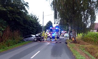 Nach dem Aufprall gegen den massiven Stamm einer Birke wurde der Audi auf die gegenüberliegende Straßenseite geschleudert. - Polizei Minden-Lübbecke