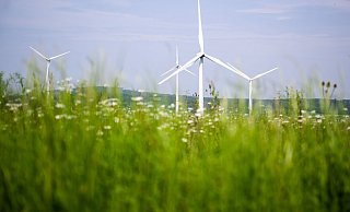 Allein im Kreis Paderborn drehen sich aktuell rund 500 Windräder. Doch die Netze sind dafür kaum ausgelegt - das müssen letztlich die Verbraucher zahlen. - Julian Stratenschulte/dpa