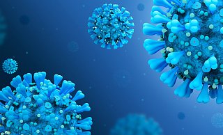 Bürgermeisterin Sabine Amsbeck-Dopheide appelliert, sich impfen zu lassen. - Symbolbild Pixabay