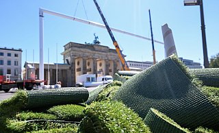 Die Europameisterschaft findet vom 14. Juni bis 14 Juli statt. Auf der Fanmeile wird es dann Public Viewing geben. - Sebastian Christoph Gollnow/dpa